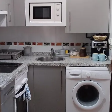 公寓 La Vega De Somiedo 1 *