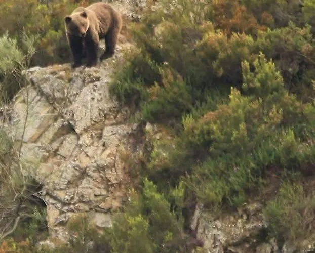 La Vega De Somiedo 1 公寓 *