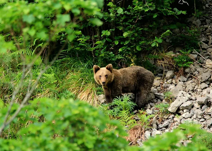 La Vega De Somiedo 1 Daire Aguino (Somiedo)